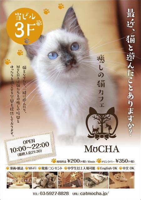 猫カフェの店頭ポスターデザインの依頼・外注 ポスターデザイン・作成の仕事・副業【ランサーズ】