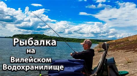 Ловля фидером на Вилейском водохранилище. Рыбалка на Вилейке. - YouTube