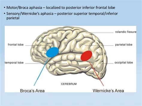 Stroke syndromes