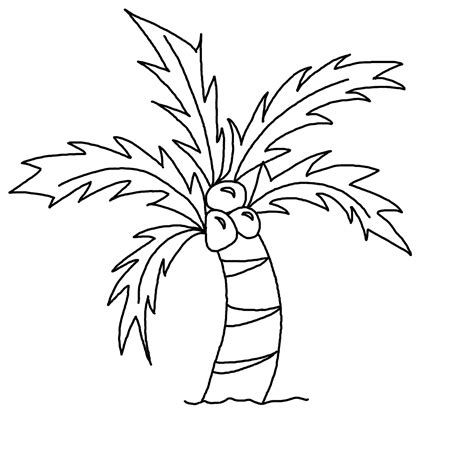 Free Coconut Tree Drawing, Download Free Coconut Tree Drawing png ...