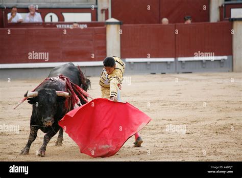 Bullfighting Las Ventas Arena Madrid Spain Stock Photo Alamy