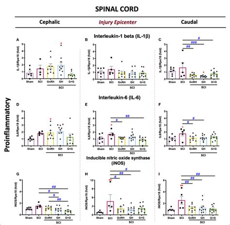 Figure Relative Gene Expression Of Il β Ill And Inos Download Scientific Diagram