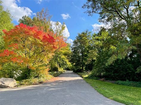 pretty places  find fall foliage  berlin berlin travel tips