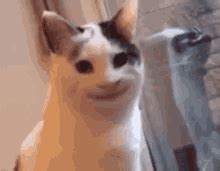Smiling Cat Creepy Cat GIF - SmilingCat CreepyCat Cat - Discover ...