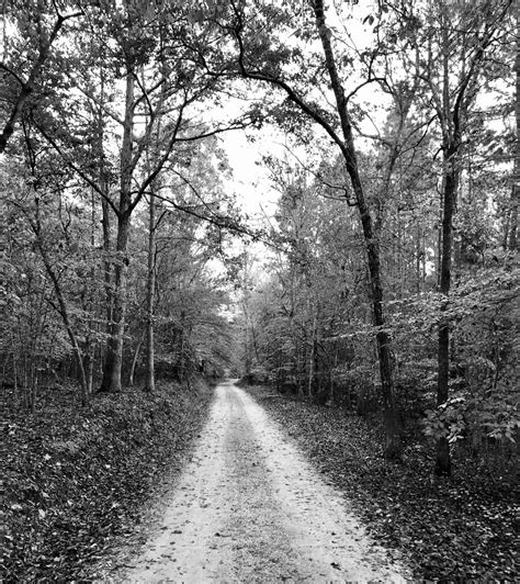 Activities The Old Dirt Road