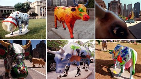 Chicagos ‘cows On Parade Is Back For July Celebrating 20 Year