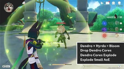 Elemental Reaction Of Dendro Genshin Impact Sumeru Youtube