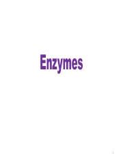 Understanding Enzymes Classification And Functions Course Hero