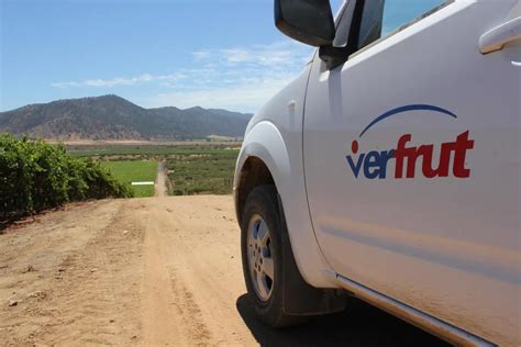 Unifrutti Buys Verfrut And Aims For Worldwide Expansion