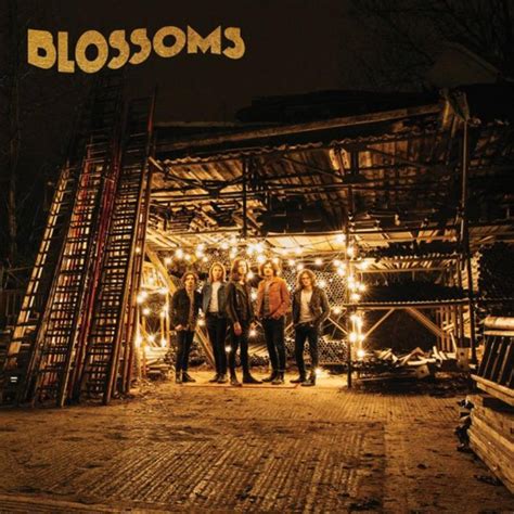 Blossoms Blossoms Album Review Disappointingly Bog Standard Indie