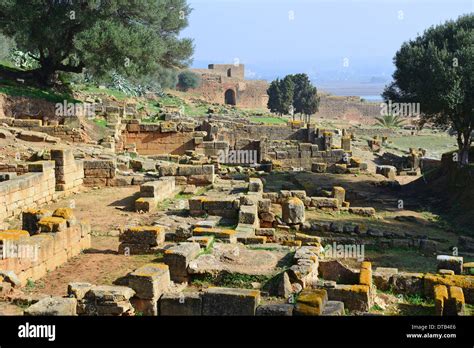 Chellah Sala Colonia Roman Archaeological Site Rabat Rabat Salé