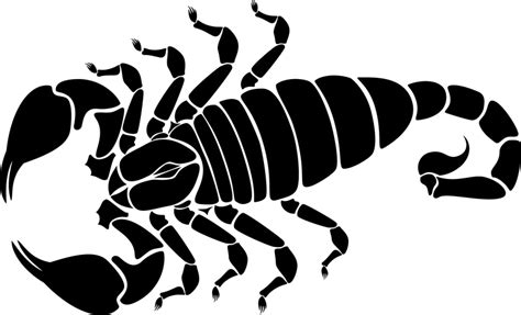 Scorpio PNG Transparent Images Pictures Photos