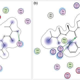 Comparative Analysis Of ACE Inhibitory Peptides Obtained In This Study