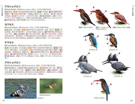 日本の野鳥識別図鑑 株式会社誠文堂新光社