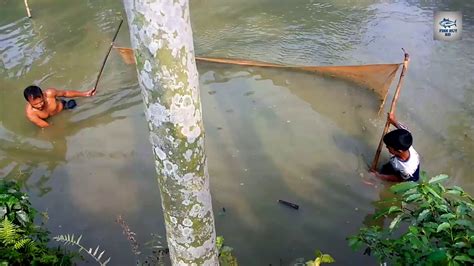 People Catching Traditional Fishing Village Pond । Amazing Fish