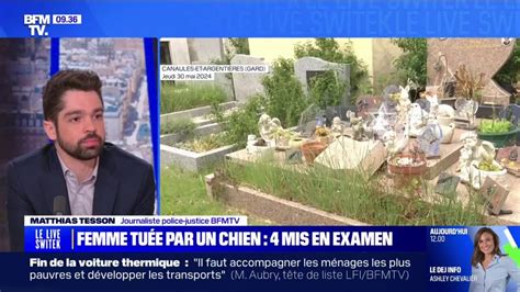 Gard Une Femme De Ans Meurt Apr S Avoir T Attaqu E Par Un Chien