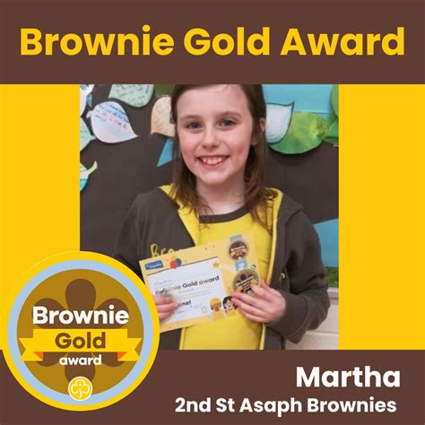 Brownie Gold Award Gallery