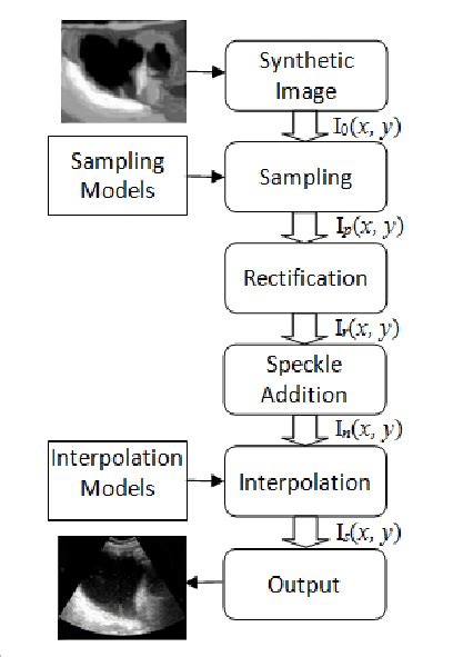 Main Stages Of The Synthetic Ultrasound Image Formation Pipeline