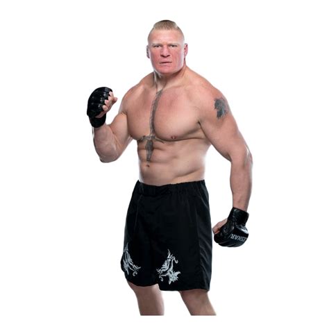 Brock Lesnar PNG Transparent Background Images Pngteam