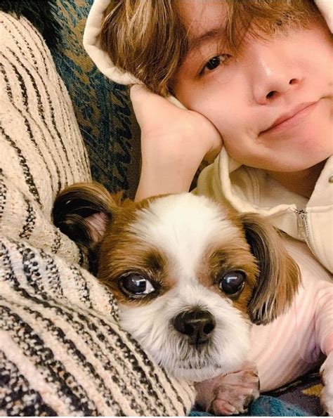 Sneak Peek Which Bts Members Have Pets From Kim Taehyung Suga To Rm