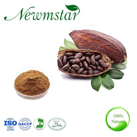 Theobroma Cacao Natural Cocoa Extract Cocoa Seed Powder Extract 10 1