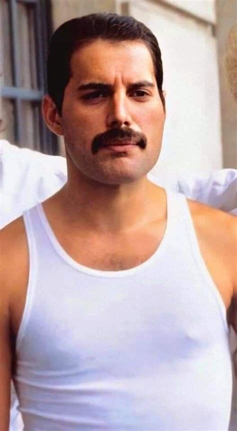 Pin By Mj On Freddie Mercury Queen Freddie Mercury Freddie Mercury