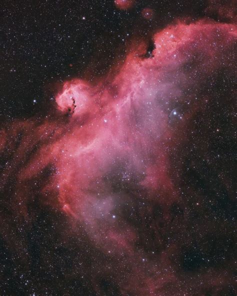 The Seagull Nebula Pictures And Interesting Facts About IC 2177