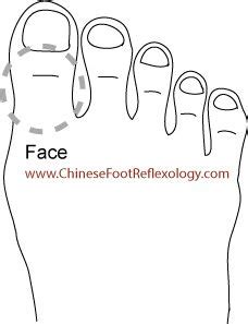 FaceGeneral Reflexology Headache Reflexology Points Shiatsu Massage