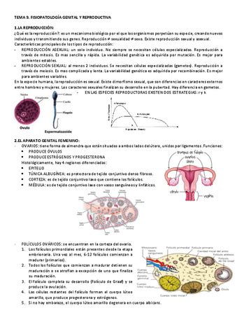 TEMA 9 FISIO Pdf