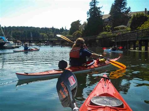 Kayaking Tour of Eagle Harbor | Exotic Aquatics Kayaking