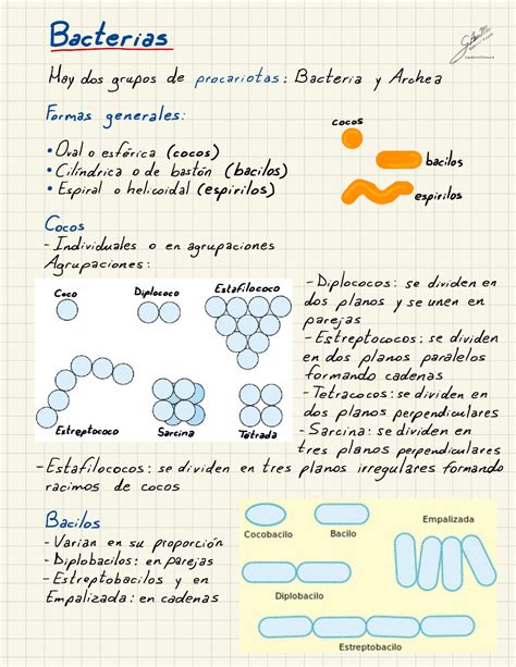 Generalidades Bact Rias Microbiologia Microbiologia