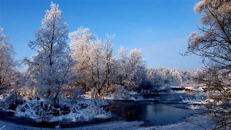 Wallpaper Trees Landscape Forest Nature Reflection Snow Winter