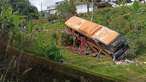 Terungkap Fakta Kecelakaan Maut Bus Pariwisata Di Tabanan Bali Tabrak