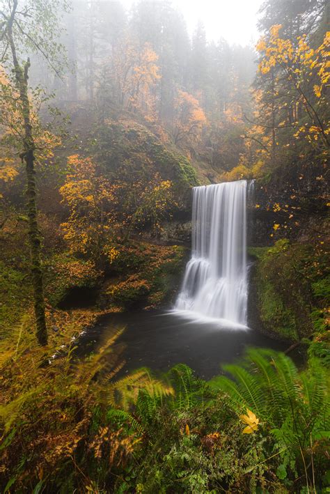 Silver Falls State Park Wallpaper 4k