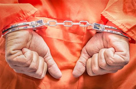 florida escort business owner sentenced   years  filing false