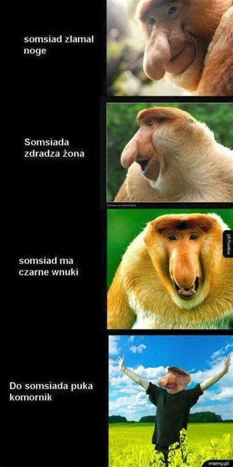 Pin di Katarzyna Gajdzis su Janusz | Meme