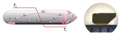 Discovering New Superconductors From Quantum Critical Electron Fluids