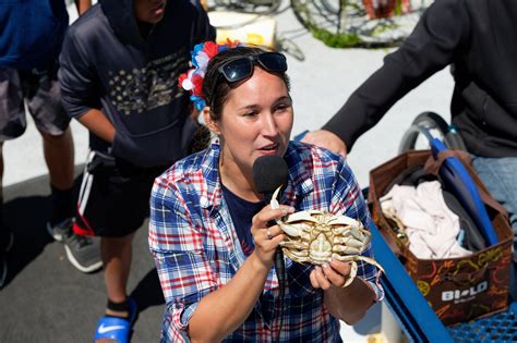 Marine Discovery Tours Newport All You Need To Know Before You Go