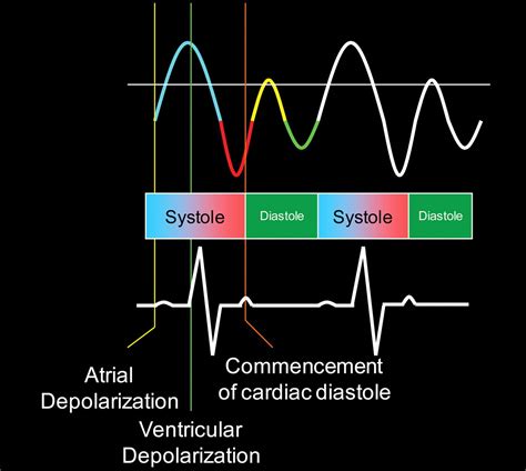 Understanding The Spectral Doppler Waveform Of The Hepatic Veins In