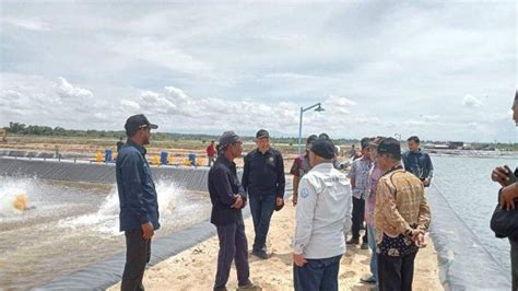 Pj Bupati Tinjau Budidaya Tinjau Tambak Udang Milik Mantan Bupati Aceh