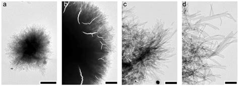 2 Tem Images Of Lamellar Single Crystals Of Vibu Prepared Using Dp6500