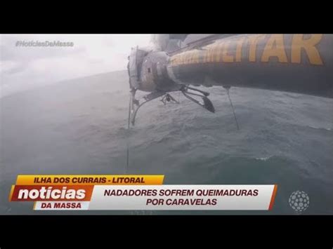 Nadadores Sofrem Queimaduras Por Caravelas Rede Massa Sbt