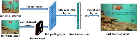 Overall Architecture Of An Automatic Fish Detection And Recognition