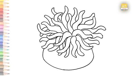 How To Draw A Sea Anemone