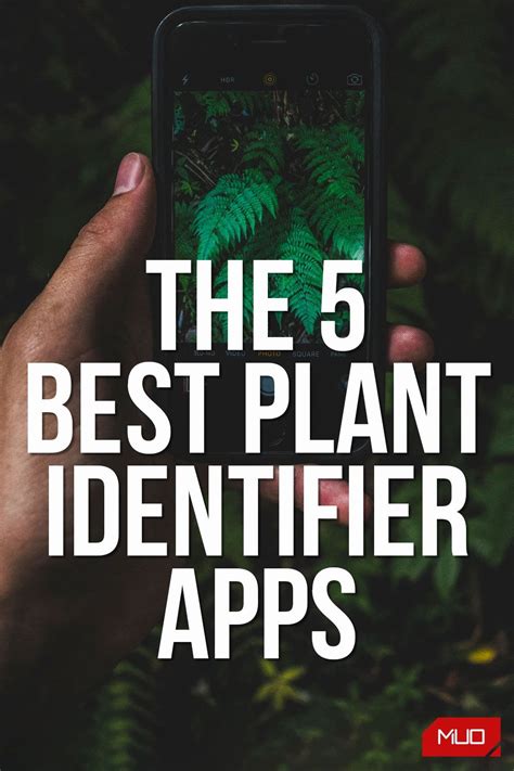 The Best Plant Identifier Apps For Android And Iphone Artofit