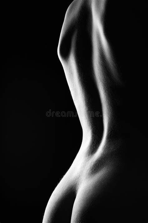 Black And White Female Nude Silhouette Stock Photo Image Of Booty Fitness 215958434
