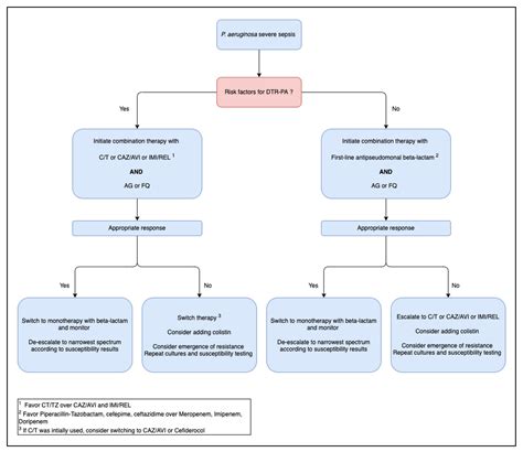 Pseudomonas Aeruginosa Pneumonia Antibiotic Treatment - Carpet Vidalondon