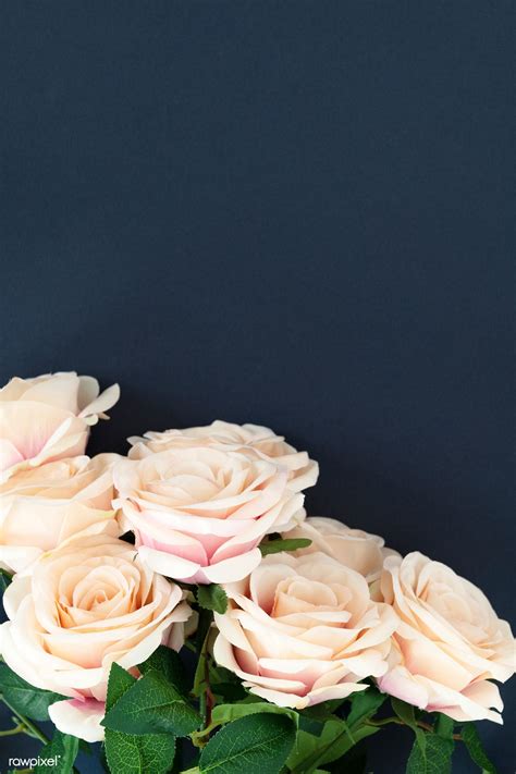 White roses pattern on blue background | premium image by rawpixel.com ...