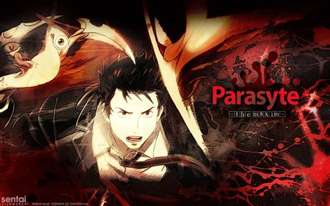 Parasyte The Maxim Hd Wallpaper 86 Images