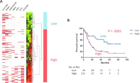 DNA Methylation Signatures For TET2 Specific Differentially Methylated